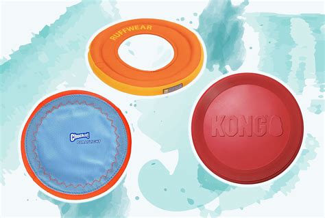 The 12 Best Dog Frisbees and Flying Discs of 2024 